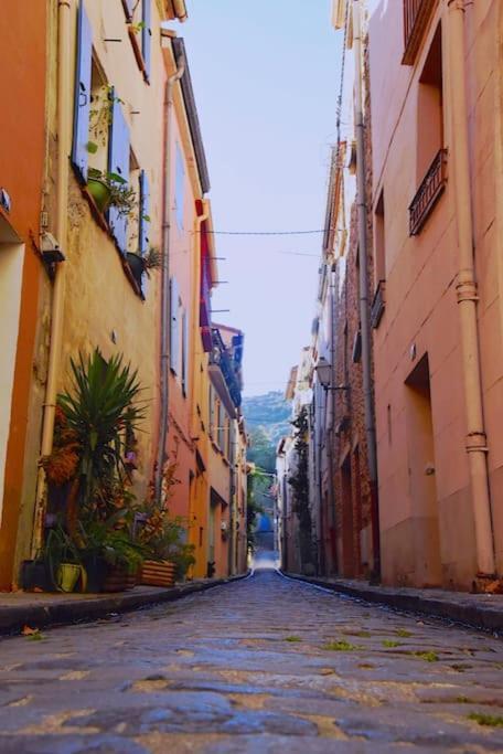Au Coeur De Ville Avec Terrasse Céret Kültér fotó