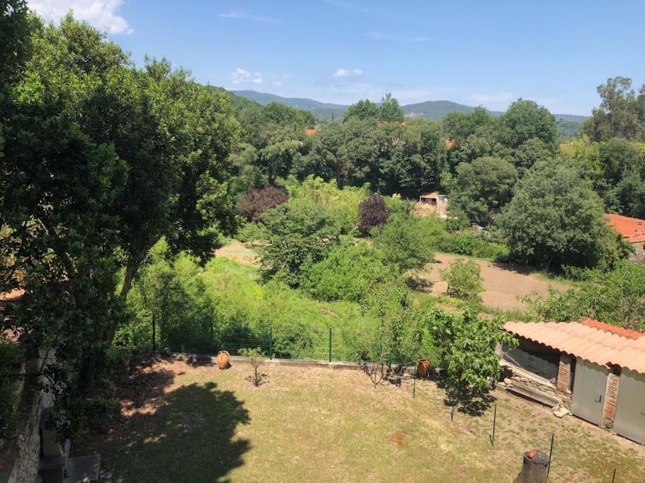 Au Coeur De Ville Avec Terrasse Céret Kültér fotó